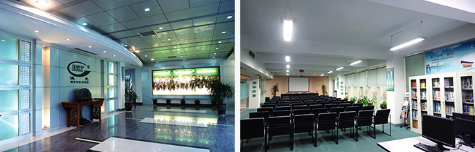 BG大游·(集团)视讯官方网站