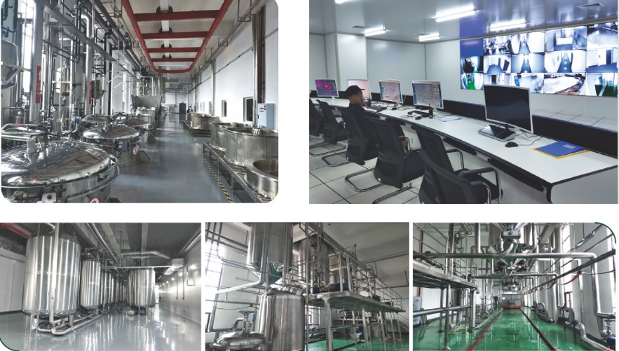 BG大游·(集团)视讯官方网站