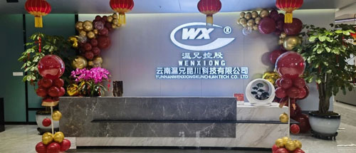 BG大游·(集团)视讯官方网站