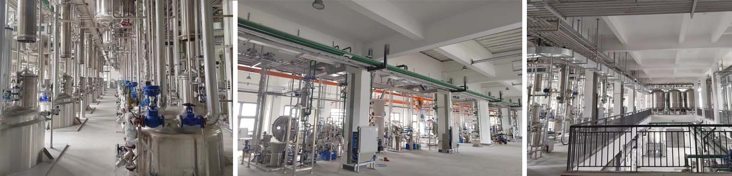 BG大游·(集团)视讯官方网站